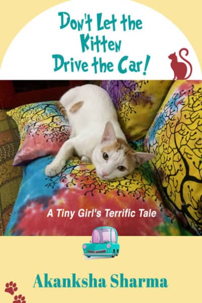 Don’t Let the Kitten Drive the Car