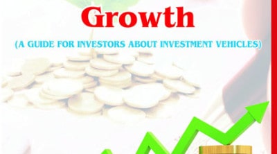 Investment Risk and Growth