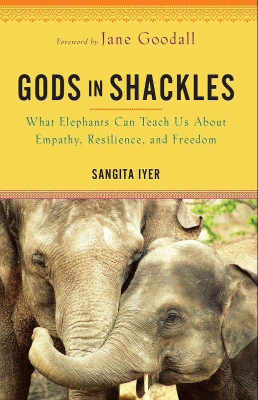 Gods in Shackles by Sangita Iyer