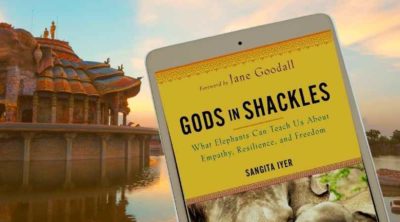 Gods in Shackles in Sangita Iyer Book Review