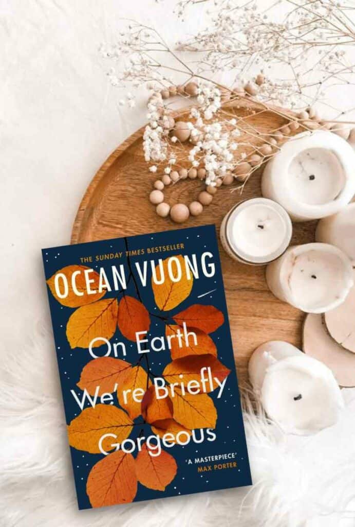 On Earth We're Briefly Gorgeous by Ocean Vuong Book
