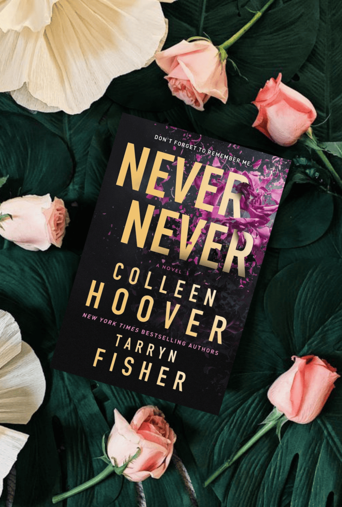 Never Never|Paperback