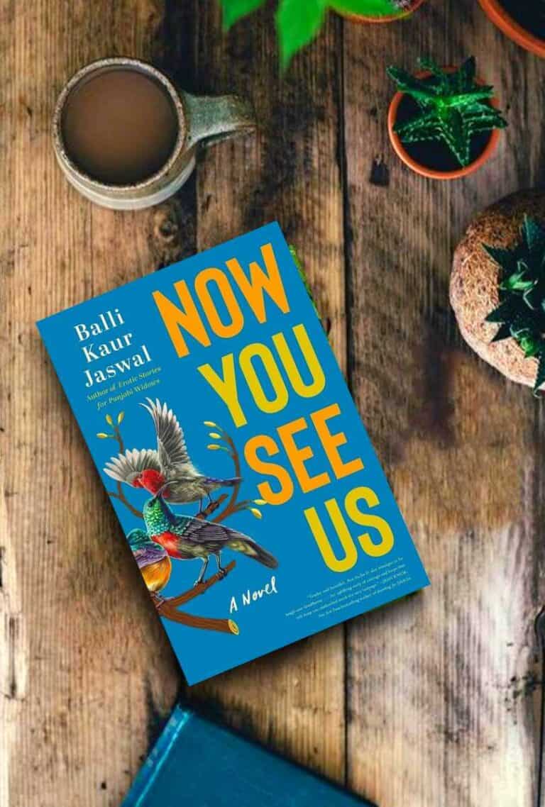 Now You See Us Balli Kaur Jaswal Book Review
